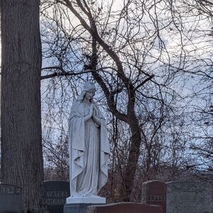 Raven Print Plus - Bundle For HT